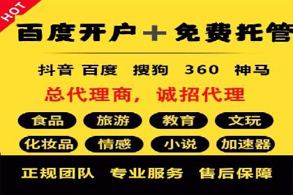 竞价广告的技巧与策略：网络推广的经典案例分享
